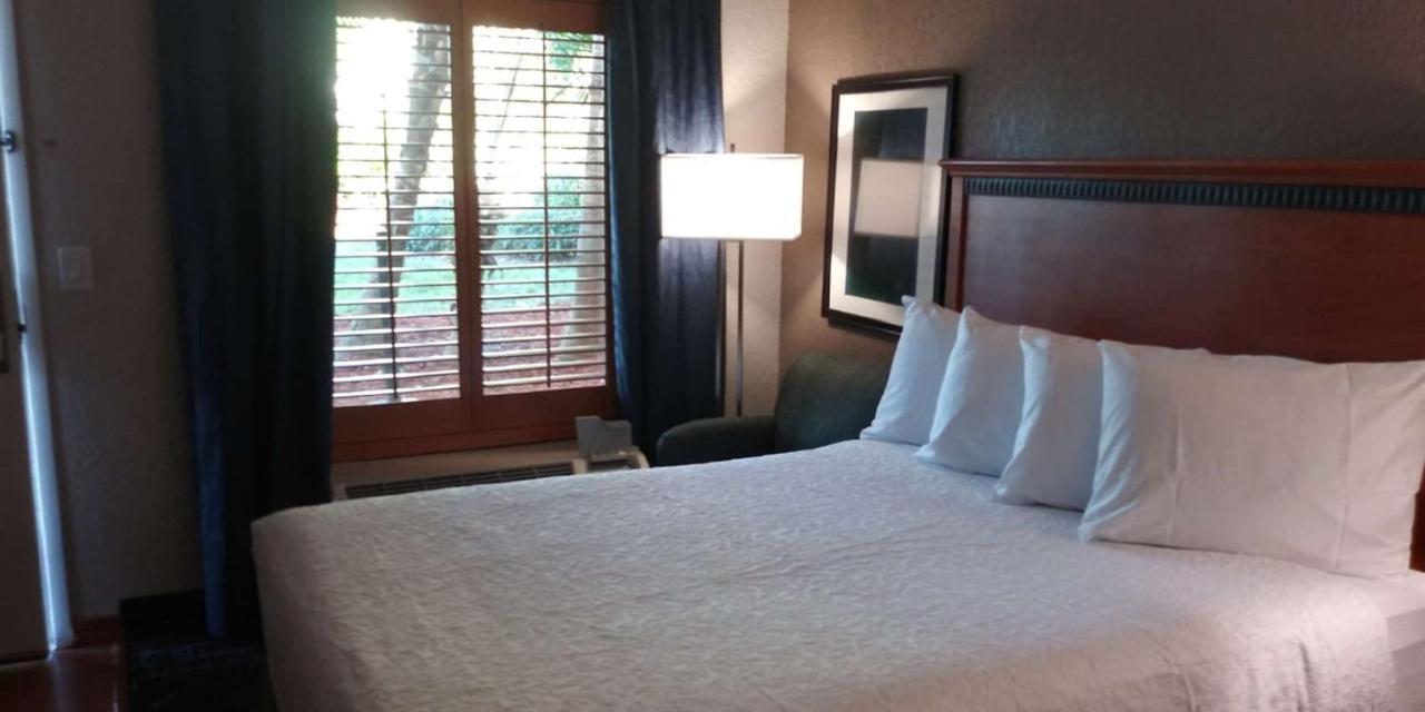 Surestay Plus Hotel By Best Western Clearwater Central Ngoại thất bức ảnh